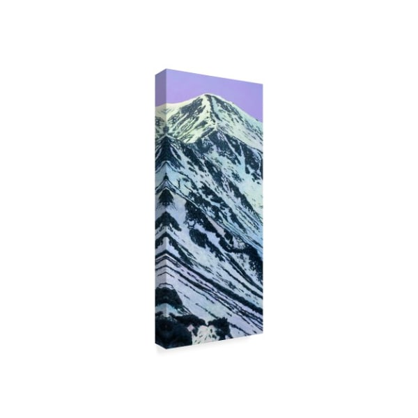 James W. Johnson 'Grays Peak In Winter' Canvas Art,10x24